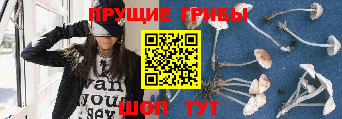 Галлюциногенные грибы GOLDEN TEACHER  Вход с VPN  Коркино 