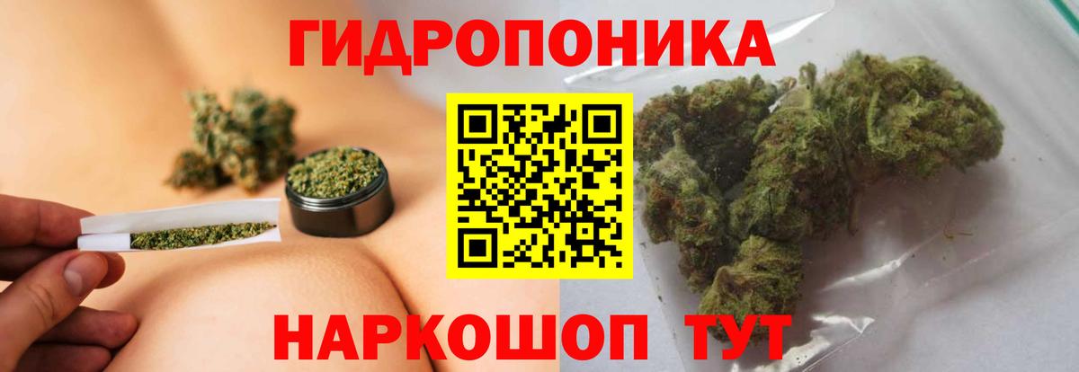 Конопля марихуана  МАРИХУАНА White Widow  Коркино  Вход с VPN 
